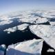 کمربند قطبی: ویژگی های آب و هوا، شرایط دمایی، پدیده های طبیعی، گیاهان و جانوران