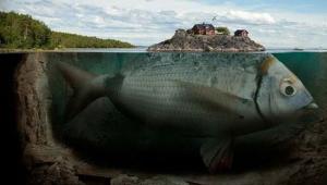 चमत्कार युडो ​​मछली-व्हेल: मिथक या वास्तविकता