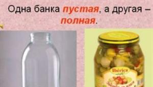 What are antonyms and examples of enriching the Russian language with them
